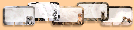 rolodex card design - index cards