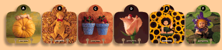 rolodex card design - divider cards